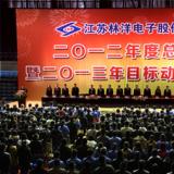 奮斗2013年，為開啟林洋事業(yè)新的征程而努力奮斗